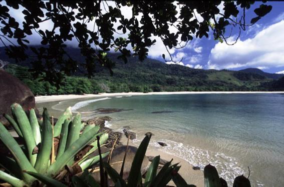 Recanto Tangara - Chale - Praia Do Felix Ubatuba Ngoại thất bức ảnh